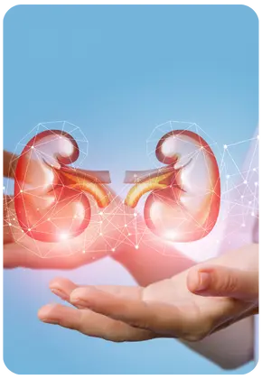 Addresses emotional, physical, and psychological needs during and after treatment.