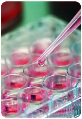Personalized Medicine