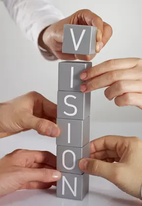 Vision