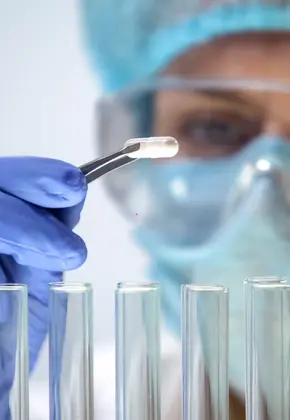 Medical Research 2